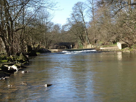River Blyth